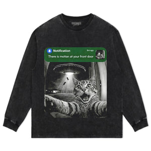 FRONT DOOR RACCOON CAT SURPRISE VISITOR TEE & LS & HOODIE