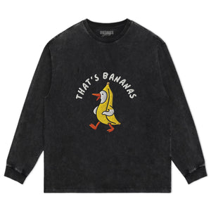 ONE SILLY GOOSE TEE & LS & HOODIE